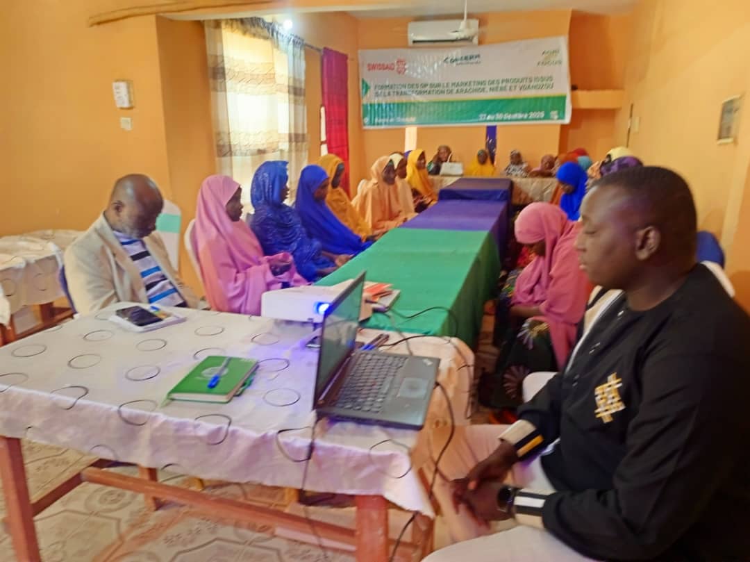  AgriFocus Niger, renforce les compétences de 46 organisations paysannes en marketing : un pas décisif vers leur autonomisation économique